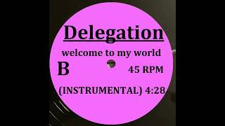 DELEGATION  WELCOME TO MY WORLD INSTRUMENTAL [upl. by Accem816]