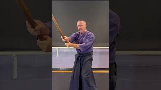 Using a BOKKEN Tsuki sword training basics AIKIDO PART 3 [upl. by Jone]