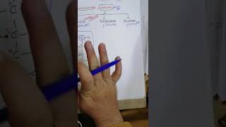 Structure Of Glucose Galactose and Fructose  Biochemistry [upl. by Nabetse]