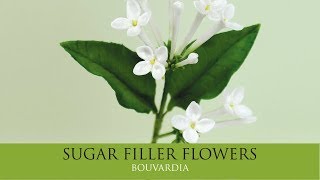 How to Make Bouvardia  Sugar Filler Flowers Part 7 [upl. by Ardnikal]