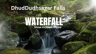 Dhudsagar falls waterfall naturebeauty [upl. by Hannaj]