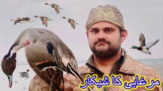 Duck hunting public land  Murghabi ka Shikar  Duck Hunting In Pakistan 2024 [upl. by Anallese]