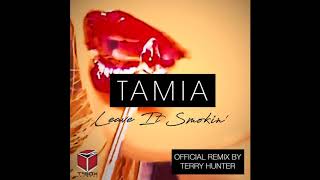 Tamia  Leave It Smokin Terry Hunter Club Mix [upl. by Atteram]