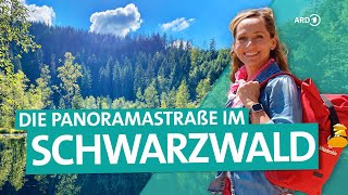 Der Schwarzwald – Von Freudenstadt über die Hochstraße nach BadenBaden  ARD Reisen [upl. by Selym]