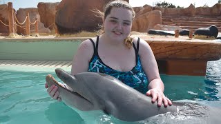 Interaction With Dolphins in Rancho Texas Zoo Waterpark Lanzarote February 6th 2022 [upl. by Pedersen]