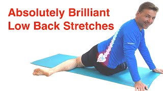 The Best Low Back Stretches  Lower Back Pain Relief Routine With FREE Exercise Sheet [upl. by Issiah]