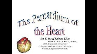 The Pericardium  Heart  Anatomy  Dr Yusuf [upl. by Holden]