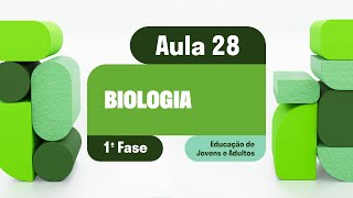 Biologia  Aula 28  Relação entre genótipo e fenótipo [upl. by Trahern91]