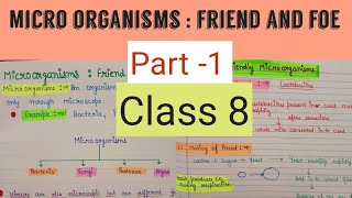 Microorganisms friend and foe class 8  microorganisms friend and foe chapter 2 class 8 [upl. by Knighton]