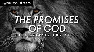 Experience MIRACULOUS Sleep with 100 POWERFUL Bible Verses [upl. by Yahc]