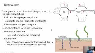 Microbiology Bacteriophages [upl. by Centonze]