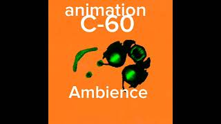 C60 Ambience Rooms Low Detiled [upl. by Dniren659]