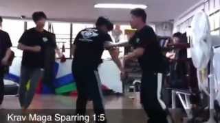 Krav Maga Sparring 15크라브마가 스파링 [upl. by Coniah]