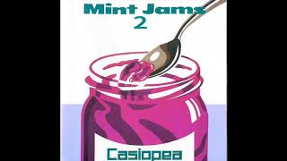 Casiopea Mint Jams 2 197982 FULL ALBUM [upl. by Zoi898]