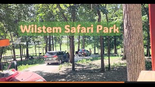 Explore Wilstem Safari Park  Unique SelfDrive Safari Experience in the USA [upl. by Bocyaj]