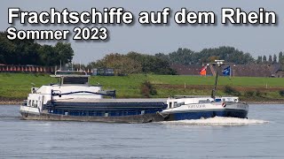 Frachtschiffe auf dem Rhein  Binnenschifffahrt  Sommer 2023 [upl. by Attenal770]