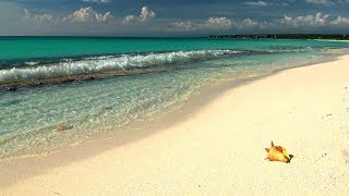 Relaxing Music with Gentle Ocean Sounds Soothing Waves and Peaceful Music [upl. by Aronoel]