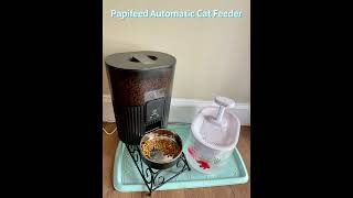 Papifeed Automatic Cat Feeder [upl. by Adnoek]