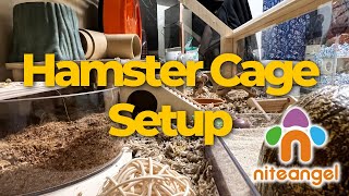 Setting up a HUGE Niteangel Cage for my Hamster [upl. by Cahilly390]