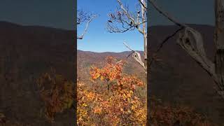 fall ambience shenandoah autumn ambience autumn walk fallcore byme fallambience scenic [upl. by Lrae3]