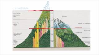 Geographie einfach gemacht Vergleich Alpen  Anden [upl. by Rinna]