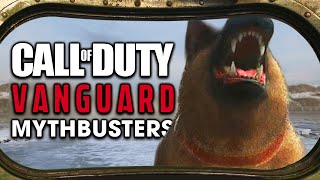 Call of Duty Vanguard Mythbusters  Combat Shield vs Everything [upl. by Dysart525]