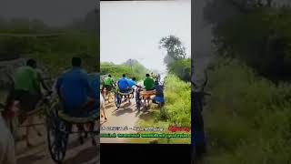 race recklarace cow trending reckla sivagangai pudukkottai 50k manamelkudi trending racw [upl. by Inobe]