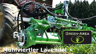 MühlviertlerLavendel Aug 2021 GreenRazor PEER GmbH Spezialmaschinenbau StreifenMulcher [upl. by Diena]