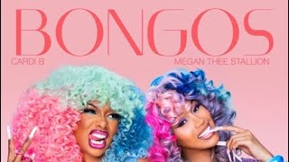 Bongos ft Megan Thee Stallion Lyrics [upl. by Tennos]