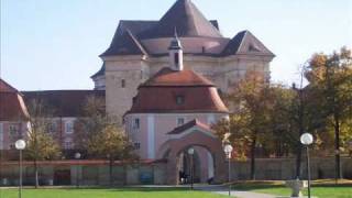 UlmWiblingen  Basilika St Martin  Vollgeläut [upl. by Sande]