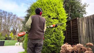 Conifer Tidying amp Sorting out a Phormium in a Border [upl. by Ariel73]