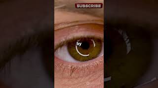 How Do Lenses Work The Science of Focus and Clarity shorts trending eyes lens nature [upl. by Entsirhc495]