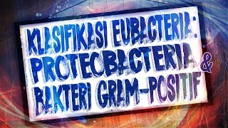 Klasifikasi Eubacteria  Proteobacteria amp Bakteri Gram Positif [upl. by Crofoot]