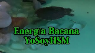 Energía Bacana  YoSoyHSM VÍDEO OFICIAL [upl. by Carmel]