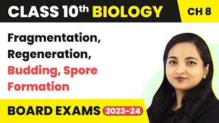 Fragmentation Regeneration Budding Spore Formation  Class 10 Biology Chapter 8 [upl. by Atikam]