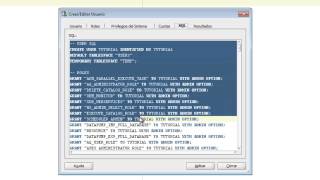 Crear schemas con Oracle SQL Developer [upl. by Bronwyn]