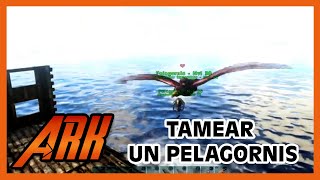 ARK  Domartamear un Pelagornis en una balsa y mal [upl. by Yror]