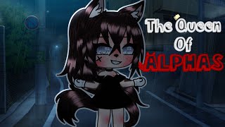 The Queen of ALPHAS  GLMM  gacha life  First mini movie [upl. by Mitch]