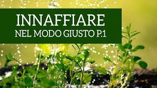 Come innaffiare le piante nel modo giusto Parte 1 [upl. by Dame]