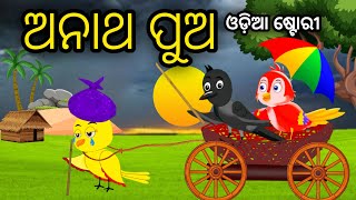 ଅନାଥ ପୁଅ  Anatha Pua  Tiki Chadhei Odia Gapa Odia Bird Story Chadhei gappa Odia Moral story [upl. by Eimmaj]