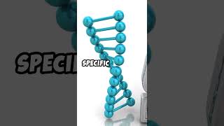 What is CRISPR Gene Editing Simplified crispr geneediting biotechnology [upl. by Sinnelg]