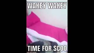 Wakey Wakey time for schoo [upl. by Atonsah]