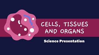 Cell tissue and organ system [upl. by Esinereb]