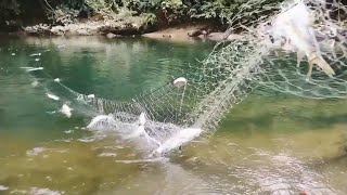 ikan semah atau ikan garing ter parah di jaring kami hari ini [upl. by Dud]