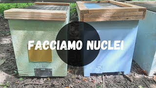 APICOLTURA facciamo nuclei [upl. by Lovell]