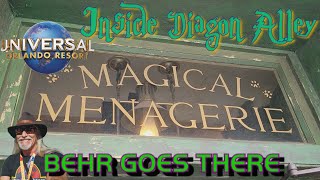 Inside Diagon Alley  The Magical Menagerie in 4K [upl. by Robert594]