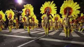 Comparsas Ritmo y Armonía · Carnaval 2014 · Santa Cruz de Tenerife [upl. by Binny]