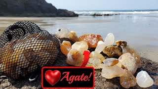 The Agate MOTHERLODE My Best Day Yet  Oregon Coast Rockhounding [upl. by Atinaj931]