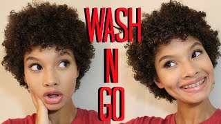 WASH N GO CURLY HAIR ROUTINE  Ms Pompadour [upl. by Ariaet]