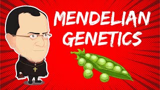 Mendelian Genetics and the Laws of Heredity [upl. by Chucho]